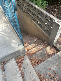 Leaves and rubbish in front of property