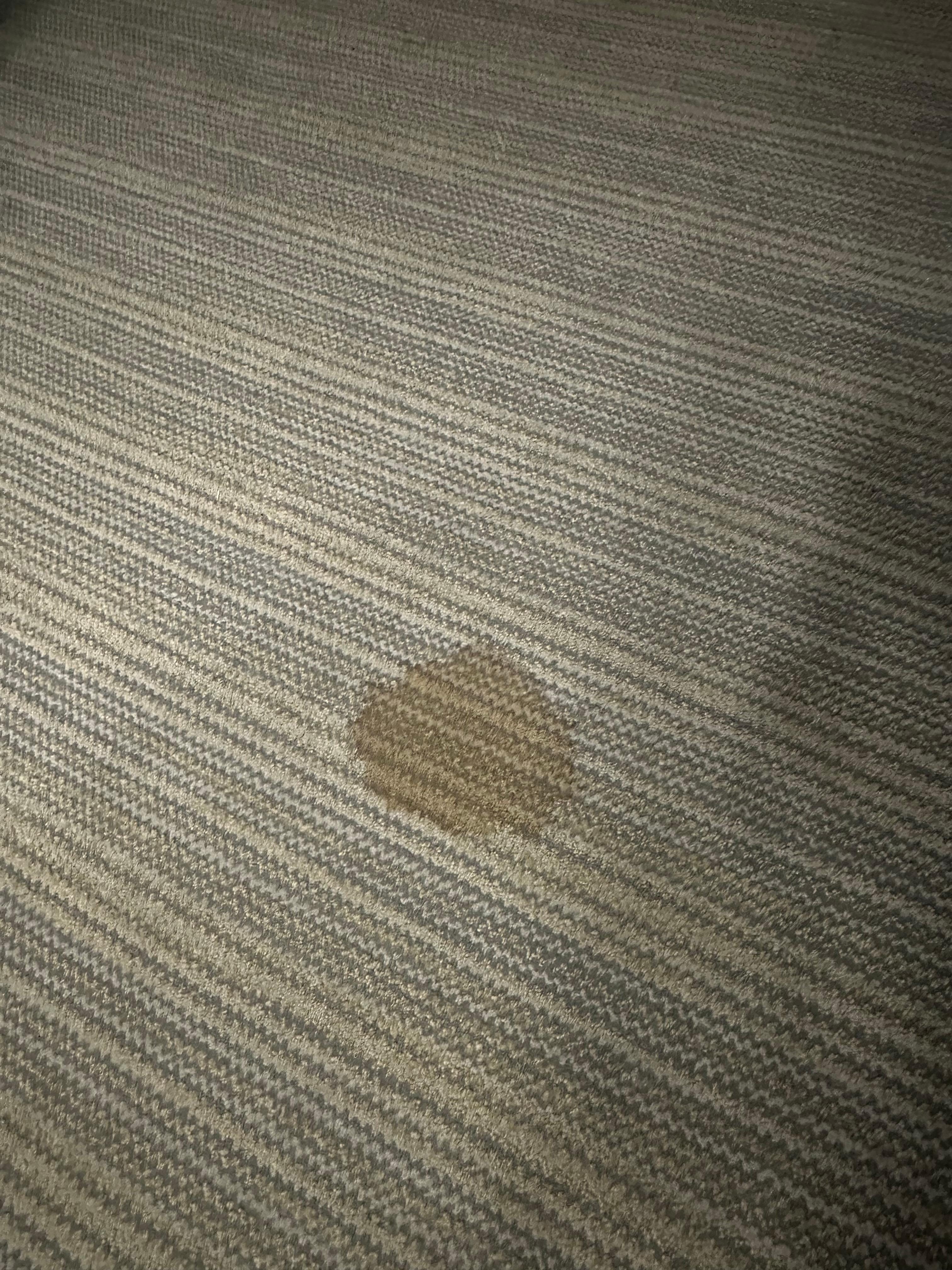 Big stains in the carpet.