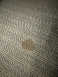 Big stains in the carpet.