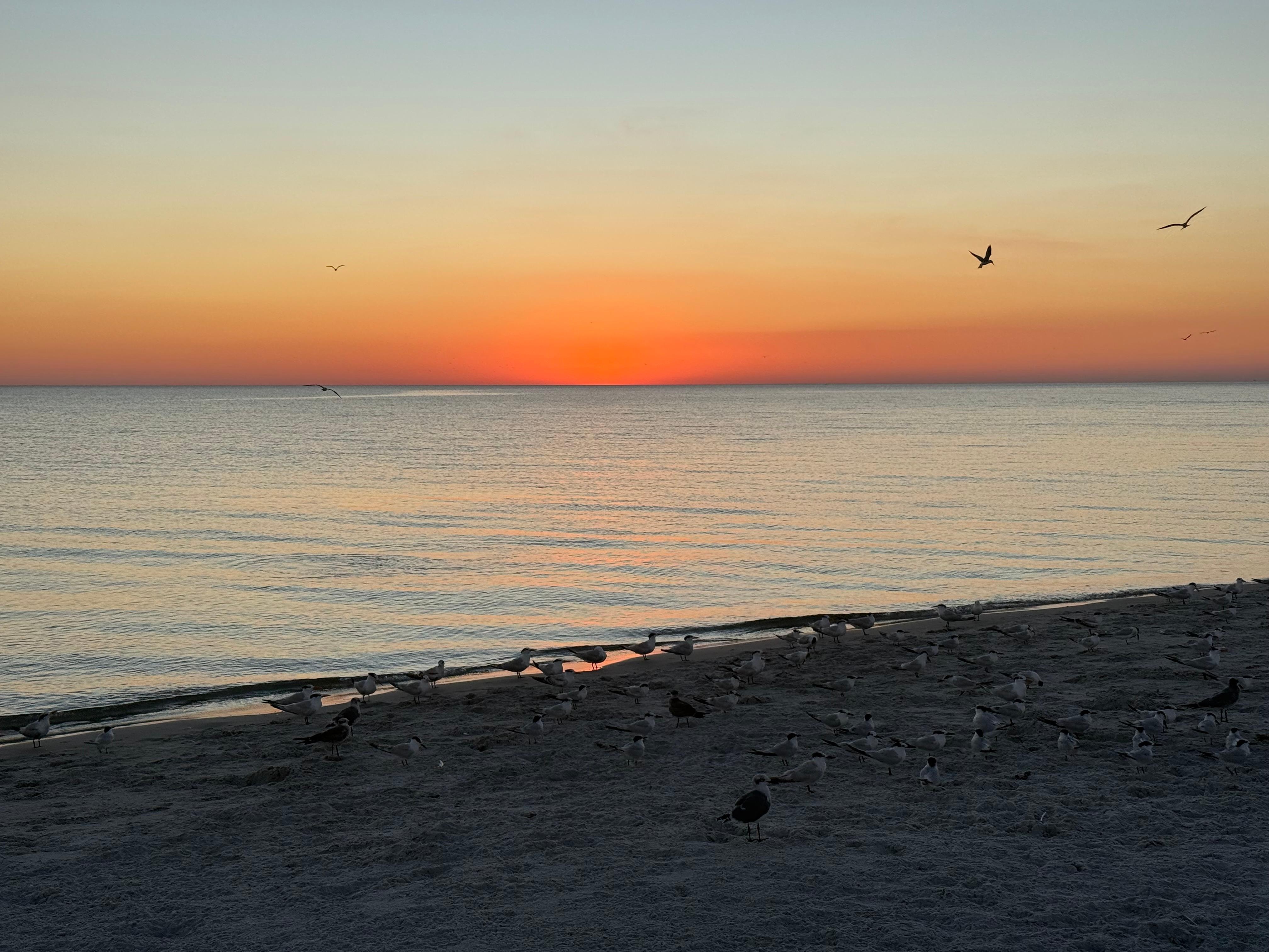 Lover’s Key State Park