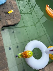 Pool at the house