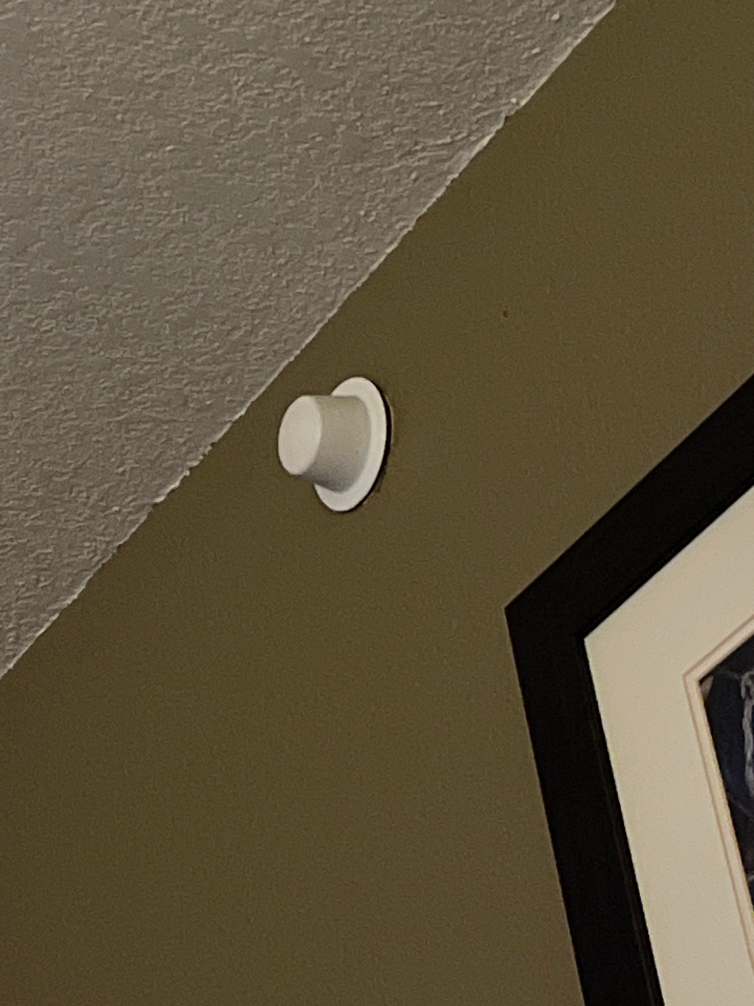 What is this?