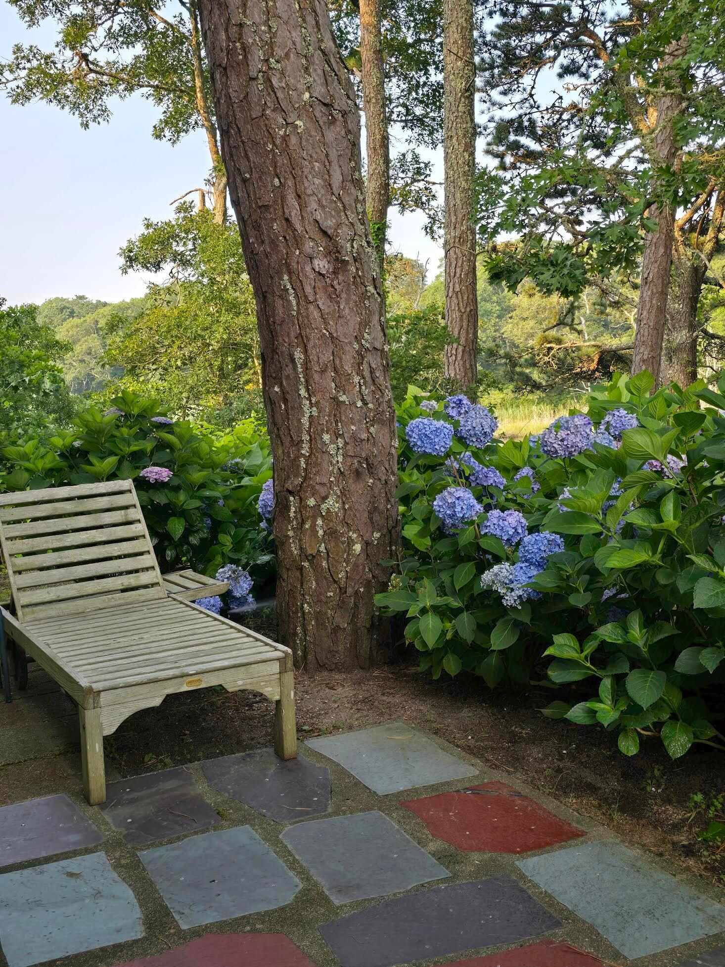 Tranquility