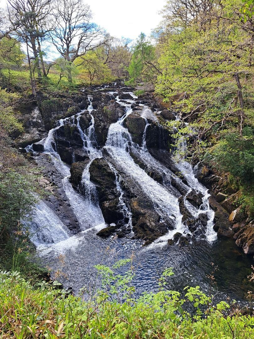 Swallow Falls