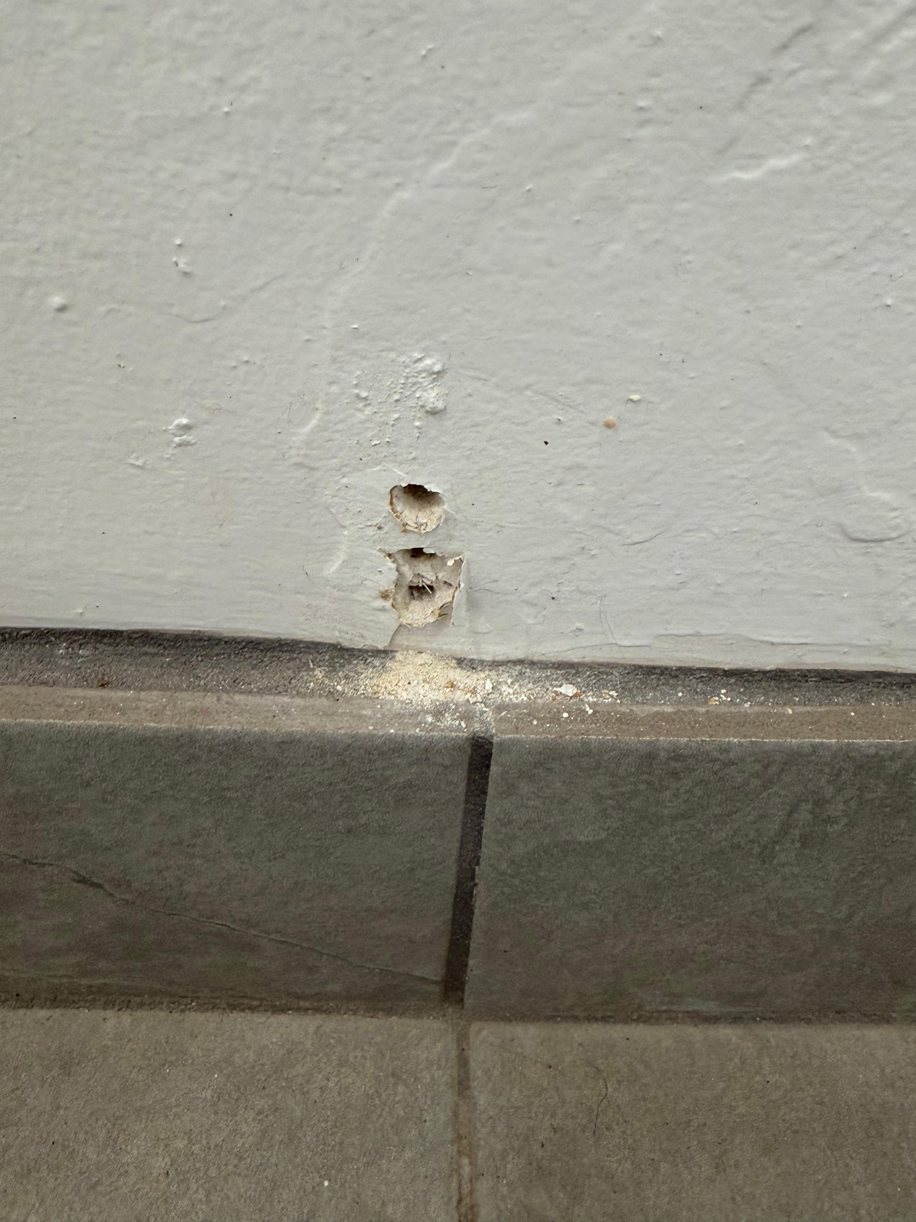 Some sort of hole from who knows what in bathroom 