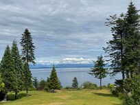 View from the back porch