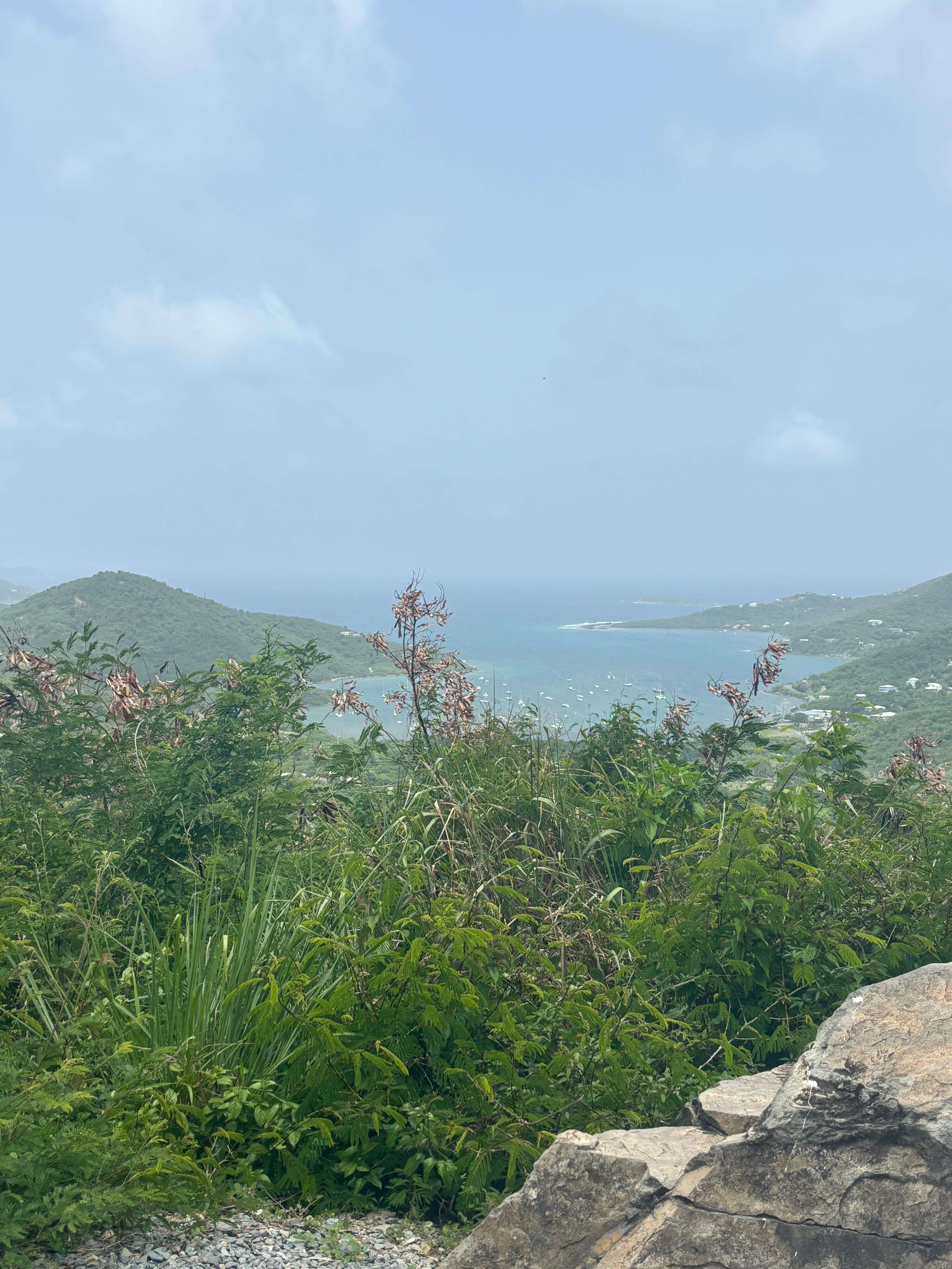 Overlooking Coral Bay