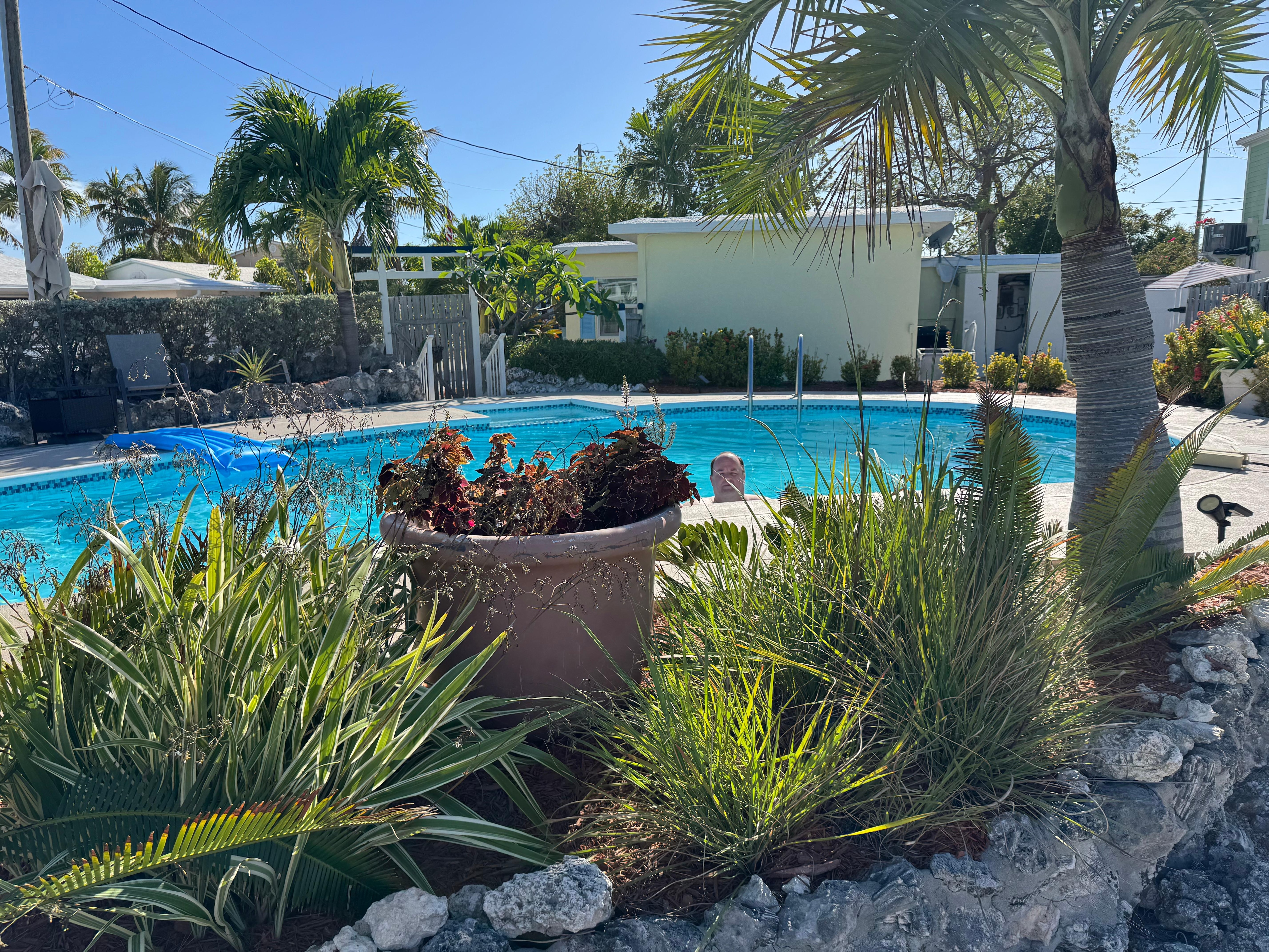 View from shaded sitting area near dock looking back at pool and house.