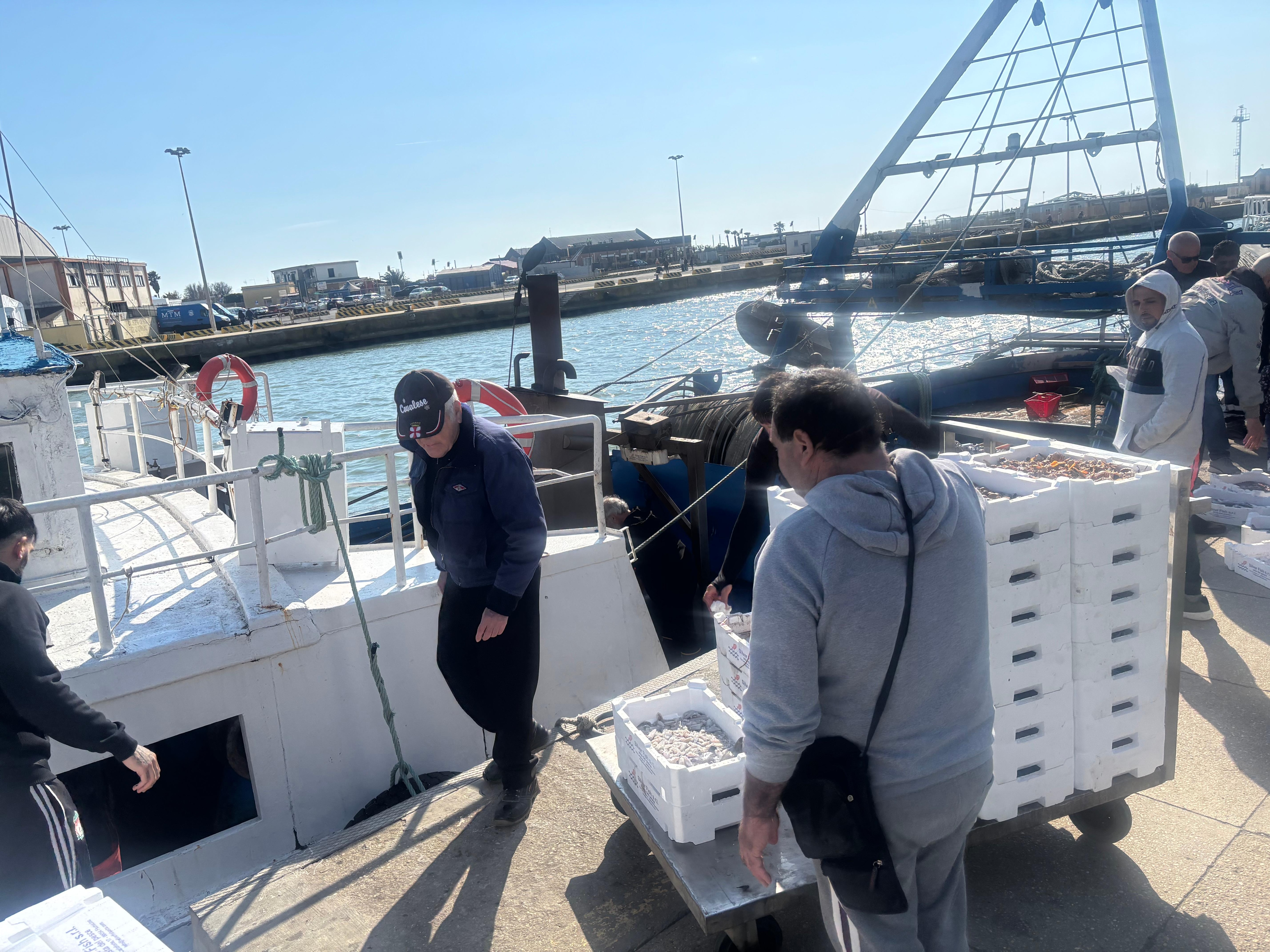 Fresh seafood catch!