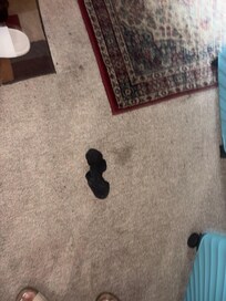 Dirty sock in couch