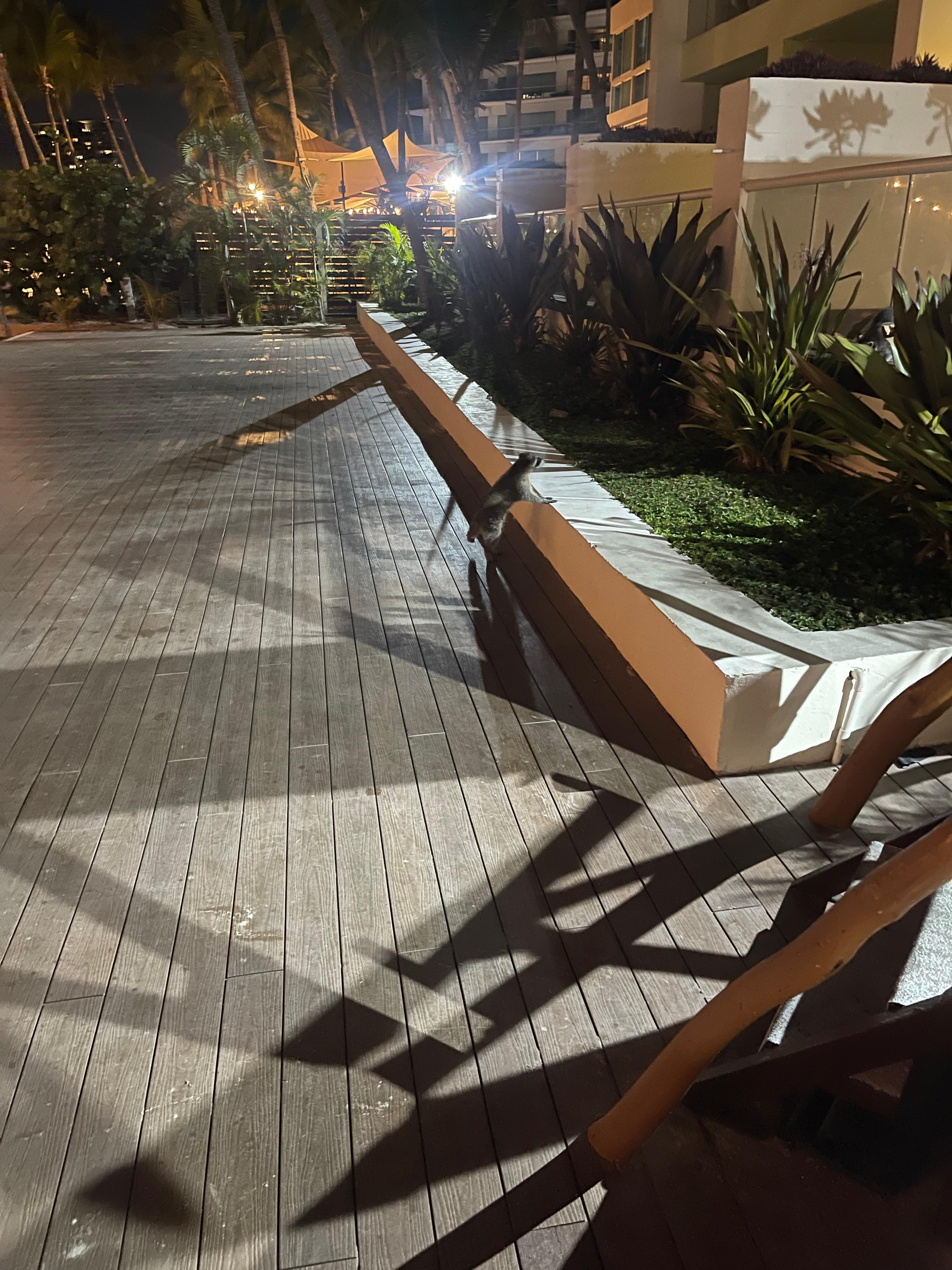 Instalaciones muy bonitas