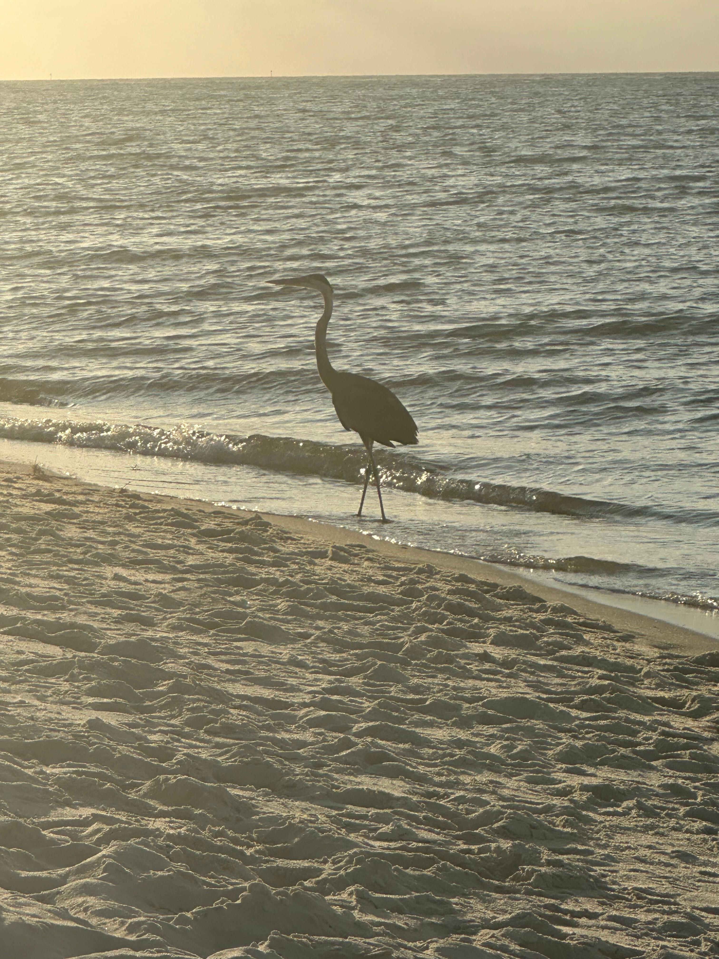 Sunset on the North End Beach