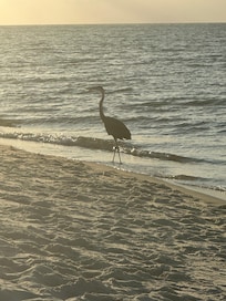 Sunset on the North End Beach