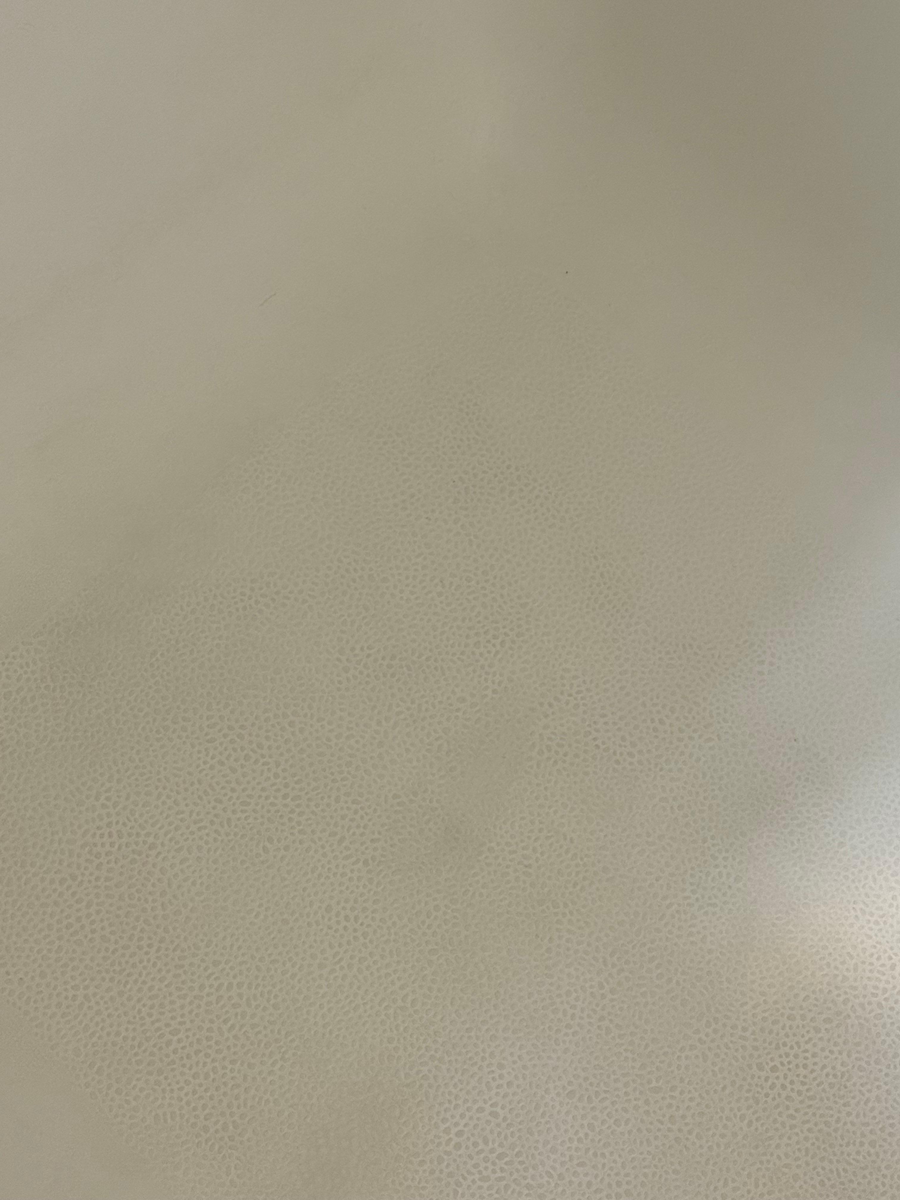 This is another of the soap scum or dirt on the bath tub.  