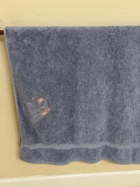 Bleach stain on a master bath towel.