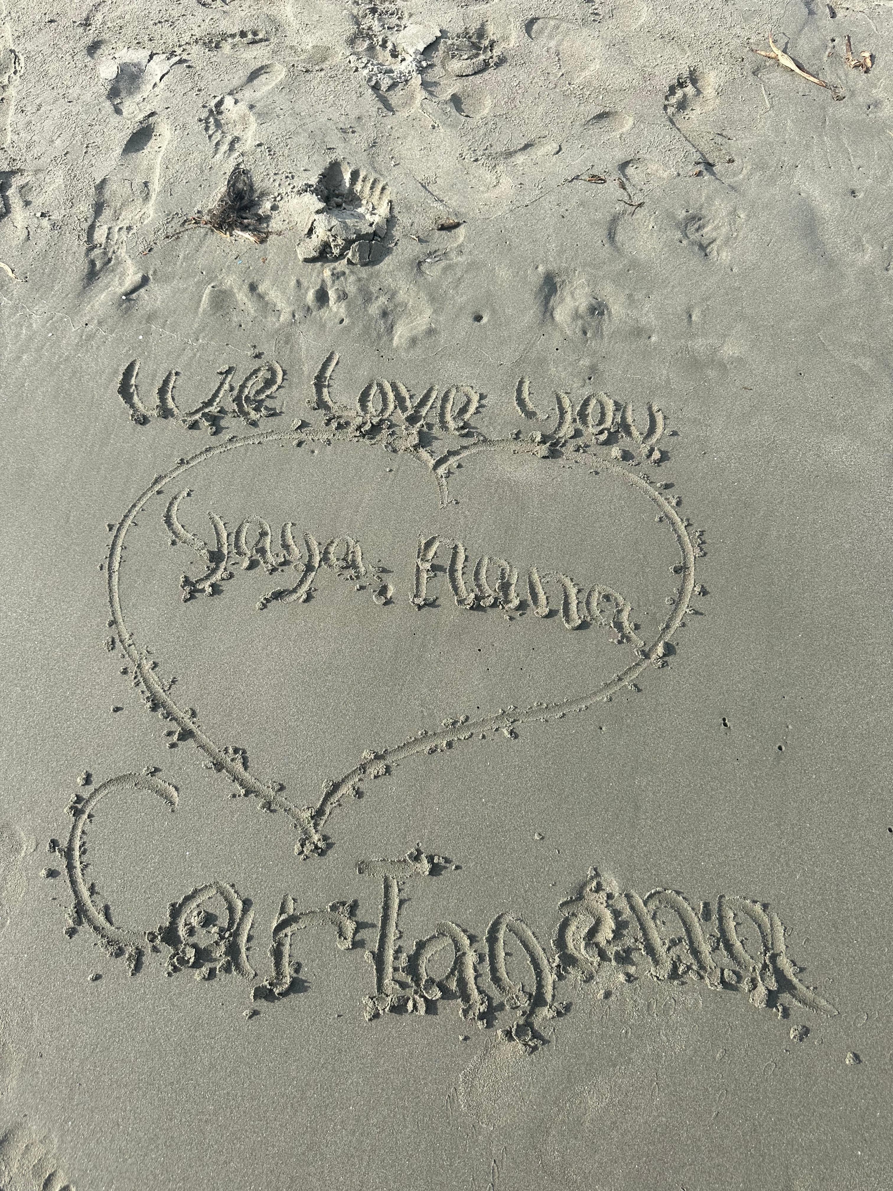 To our daughters Layna and Leyah we love you both.