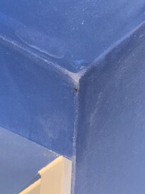 A spider in the corner of the room