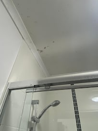 Bathroom mold