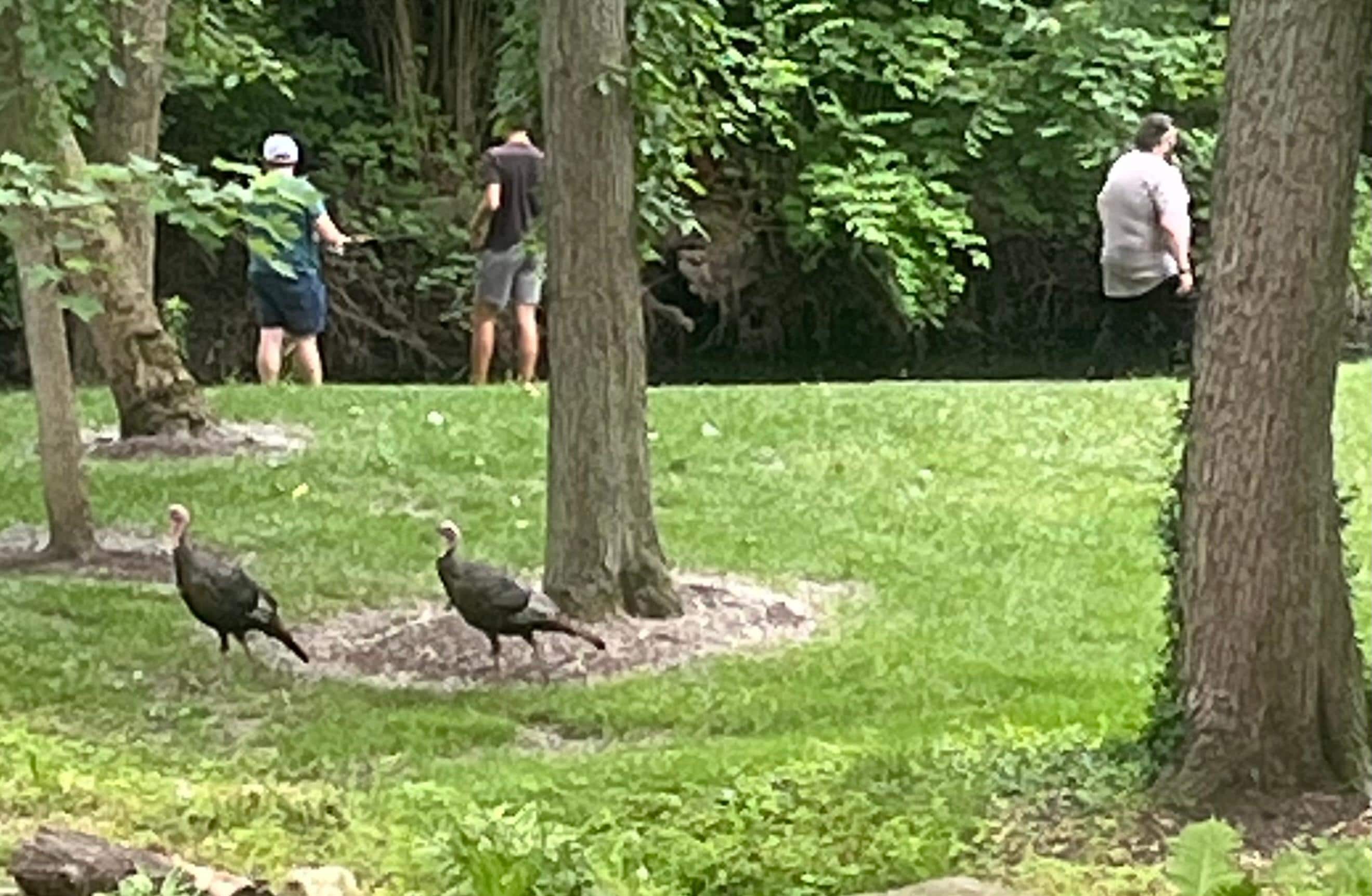 Fishing at a stream right on the property! 