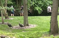 Fishing at a stream right on the property!