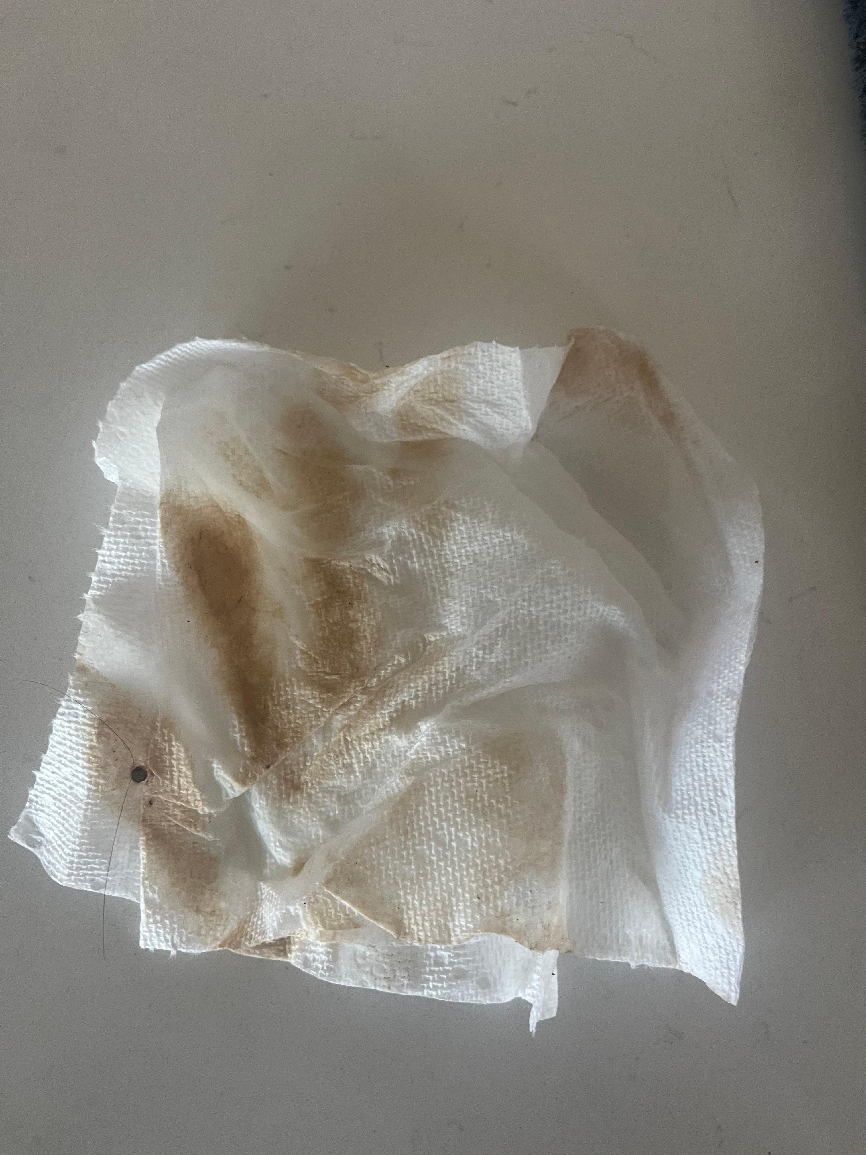 After host sent someone to clean the floors I went back to check and wiped them with a damp paper towel