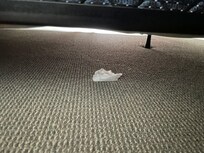 There was a tissue from the previous occupant under the bed