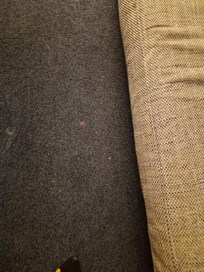 Bei Ankunft sah der Teppich leider so aus