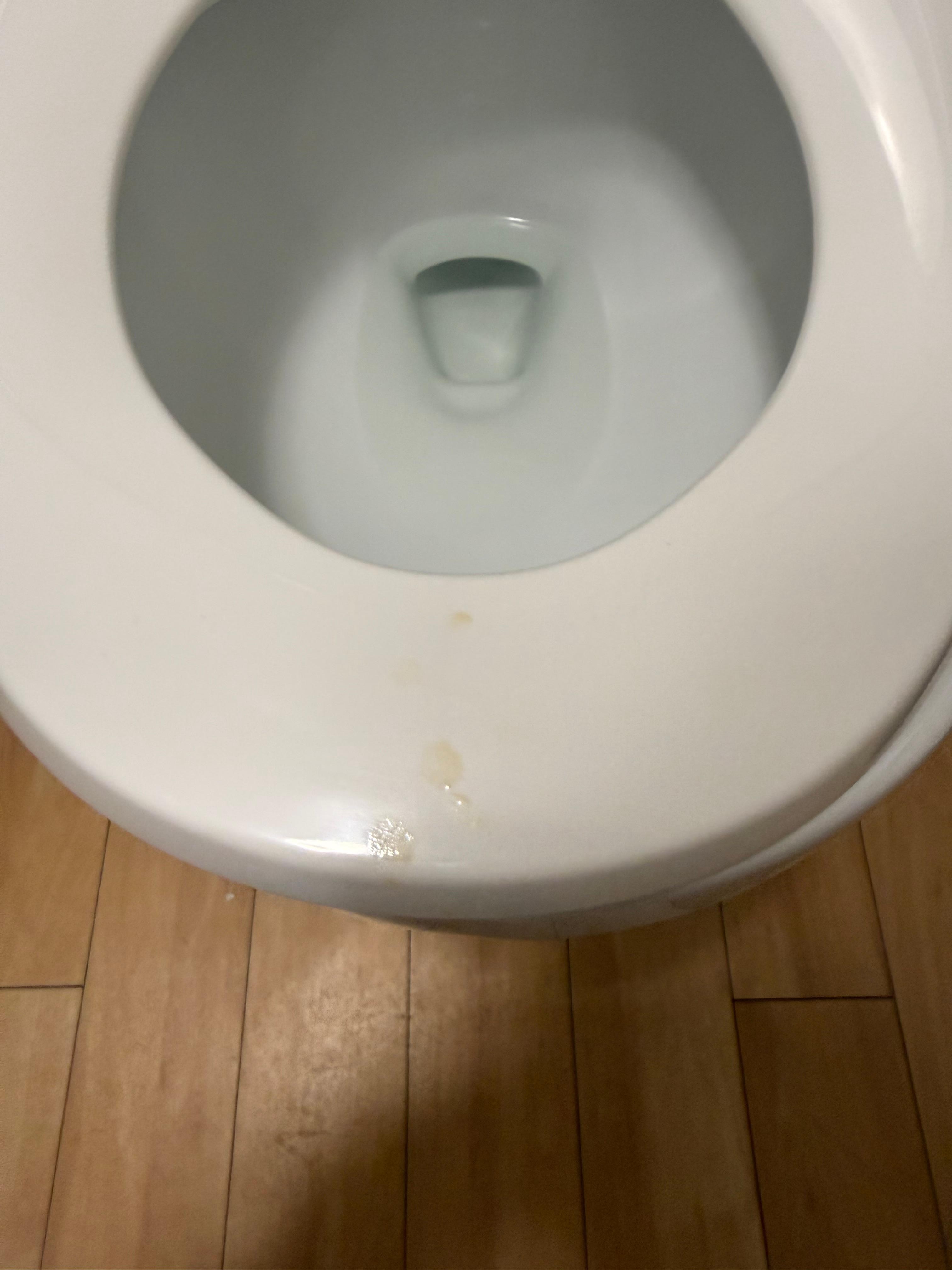 Dried pp on toilet seat they did not clean from the last people