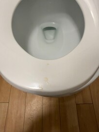 Dried pp on toilet seat they did not clean from the last people