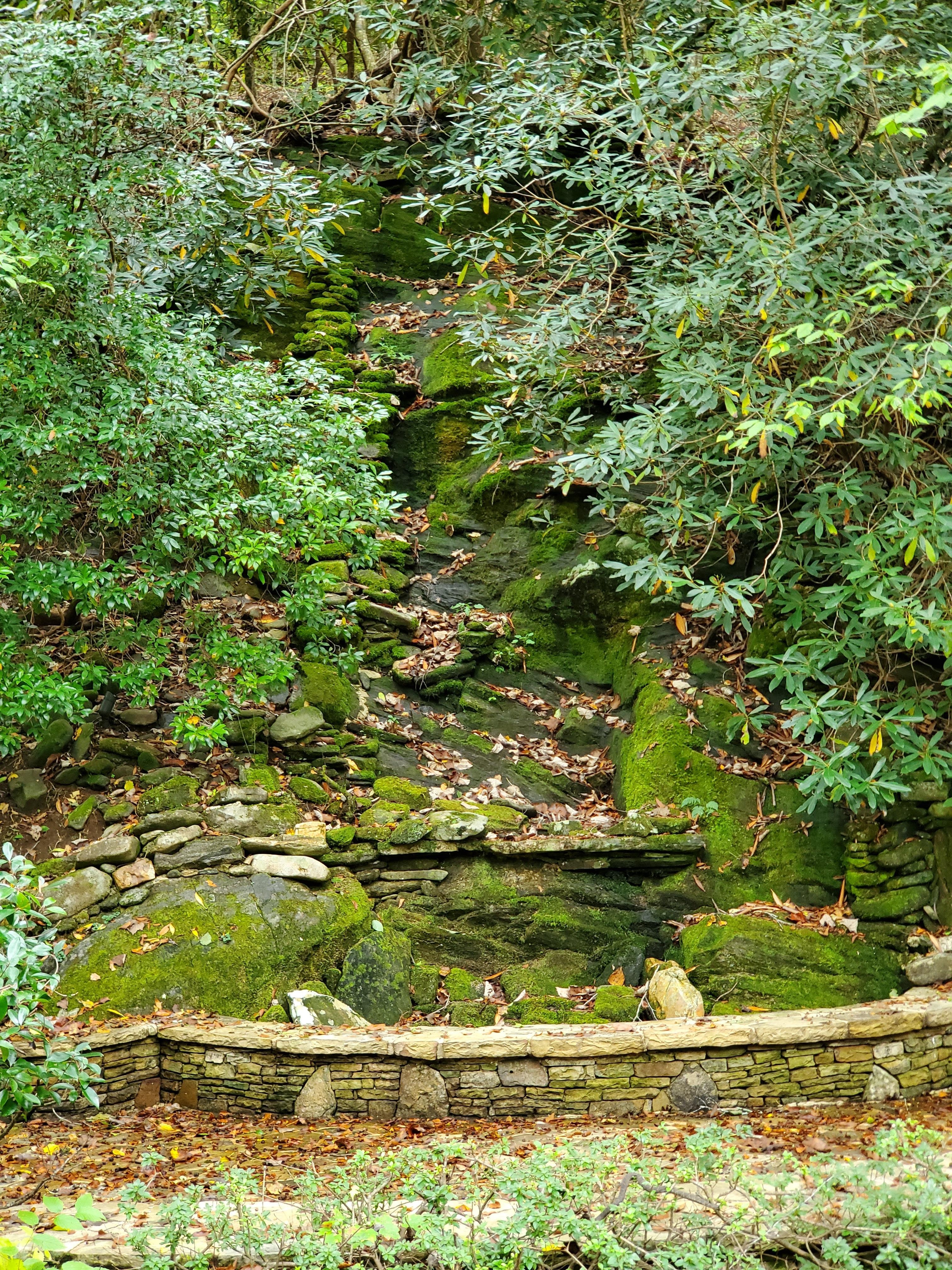 Our view from the swing on the back deck.