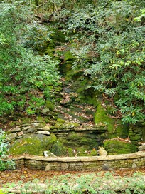 Our view from the swing on the back deck.