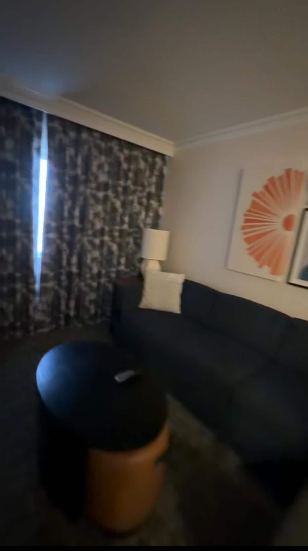 Living room with pull out bed