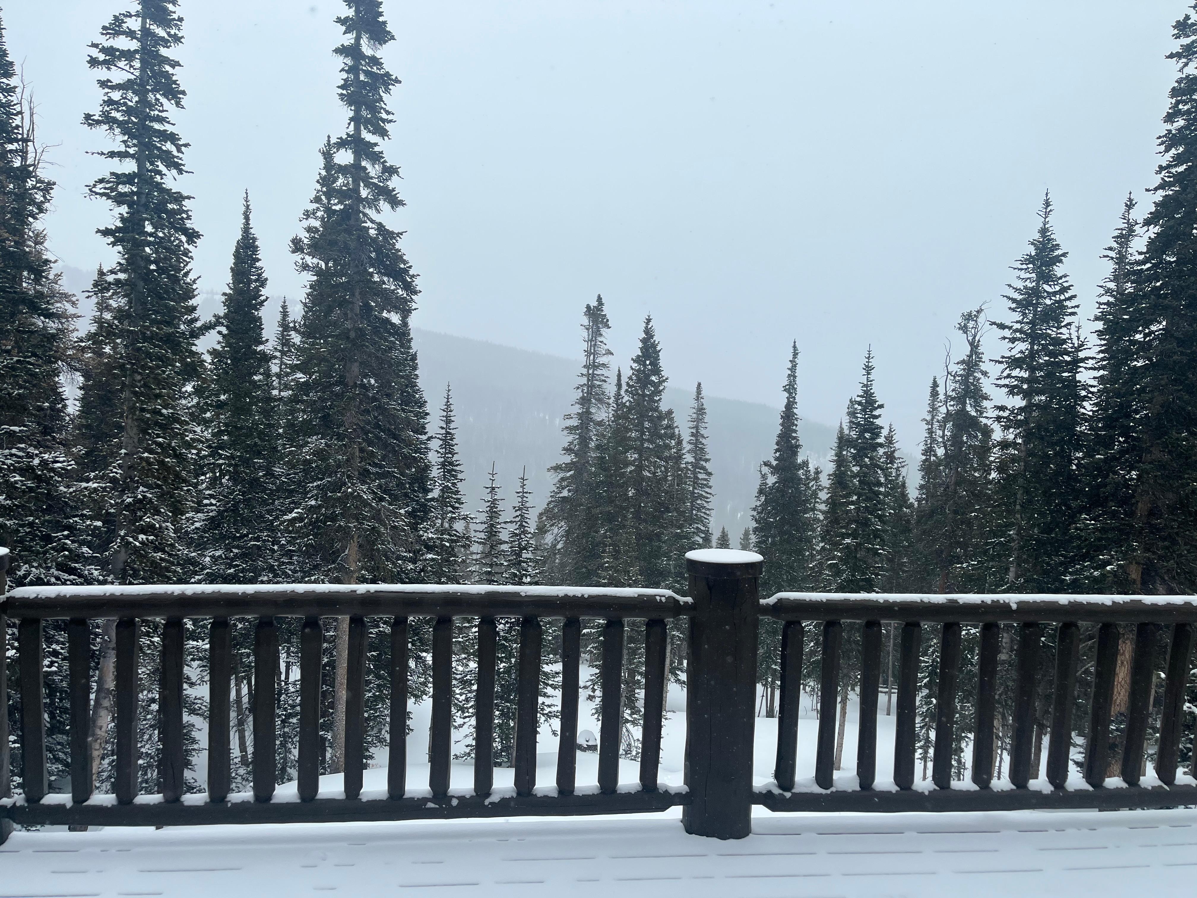 View from the back deck while snowing