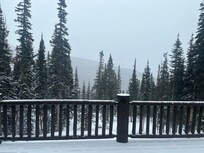 View from the back deck while snowing