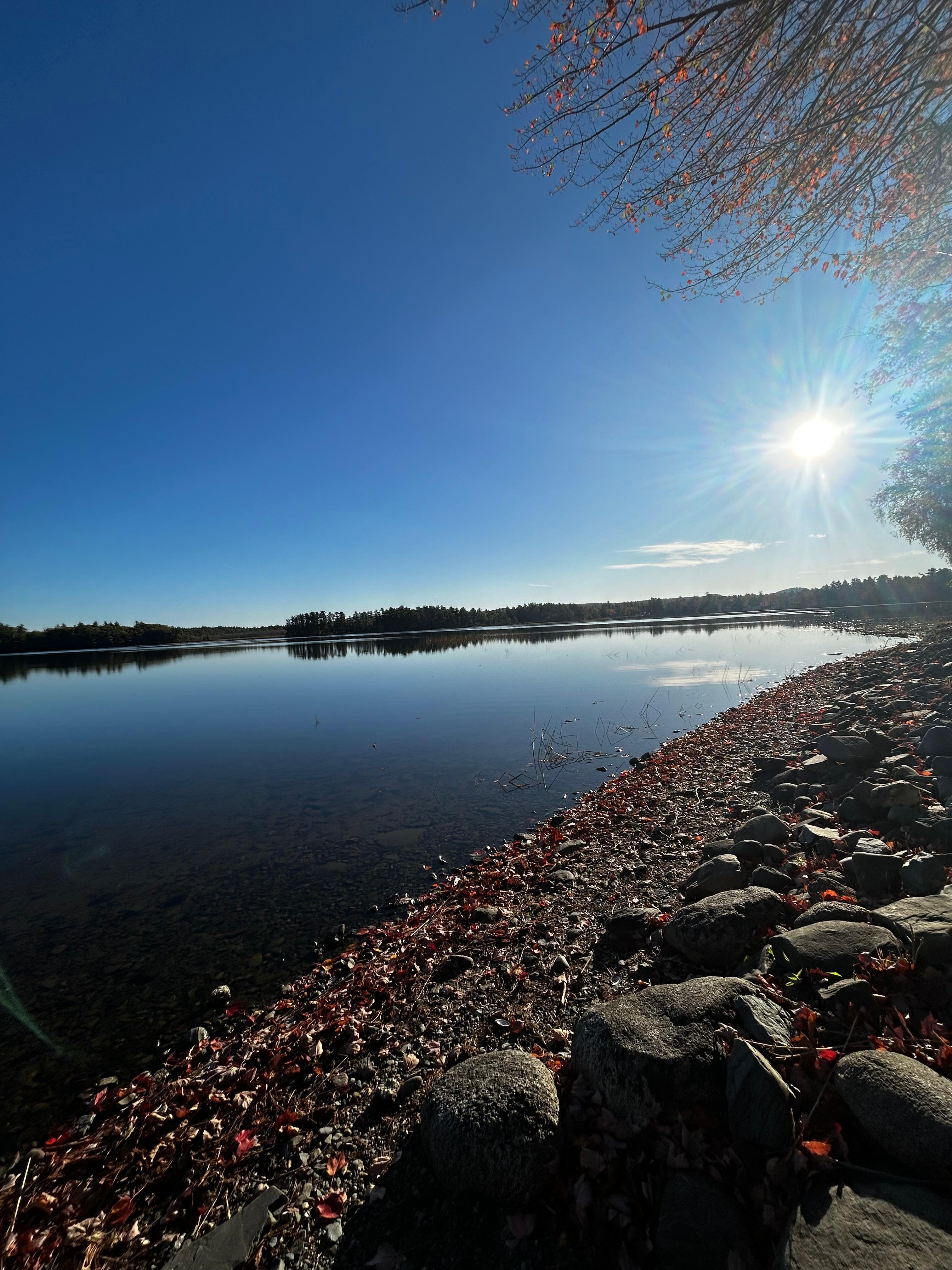 Morning view of pond 