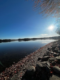 Morning view of pond