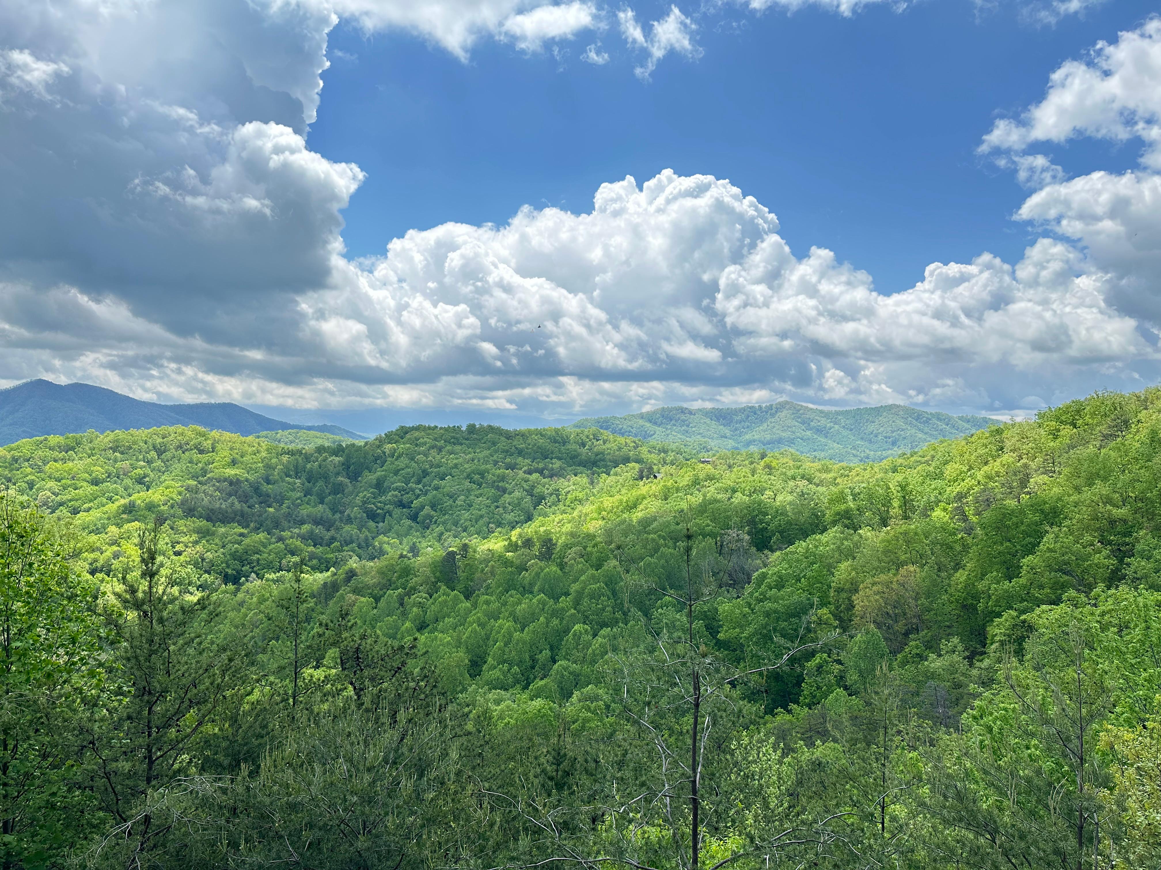 View from the deck!