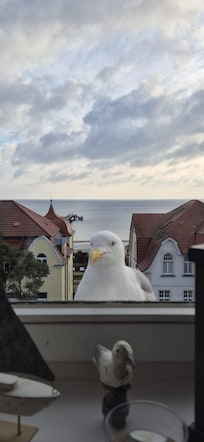 Morgen Gast