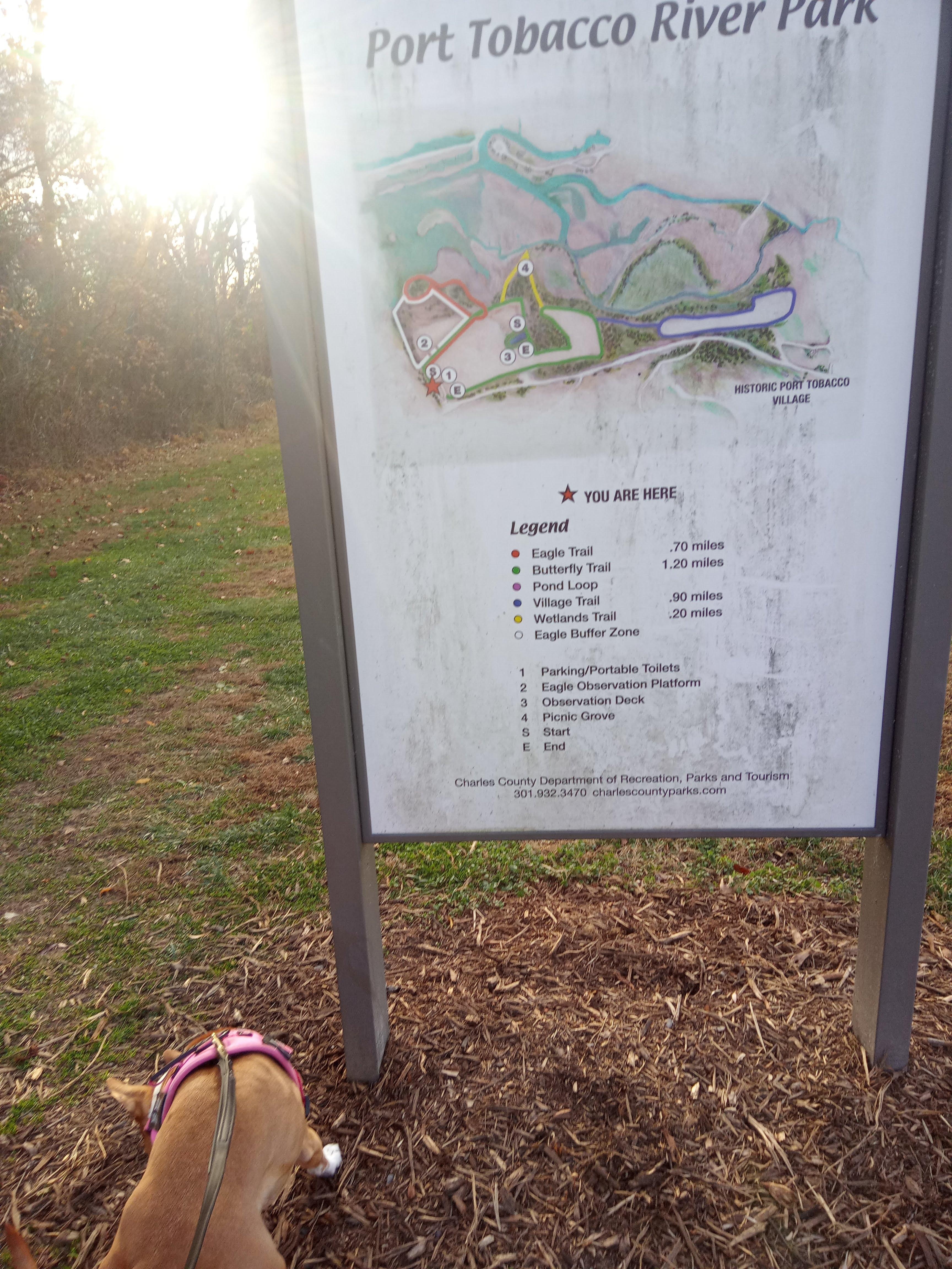 a walk across the street to the park!