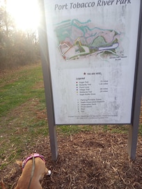 a walk across the street to the park!