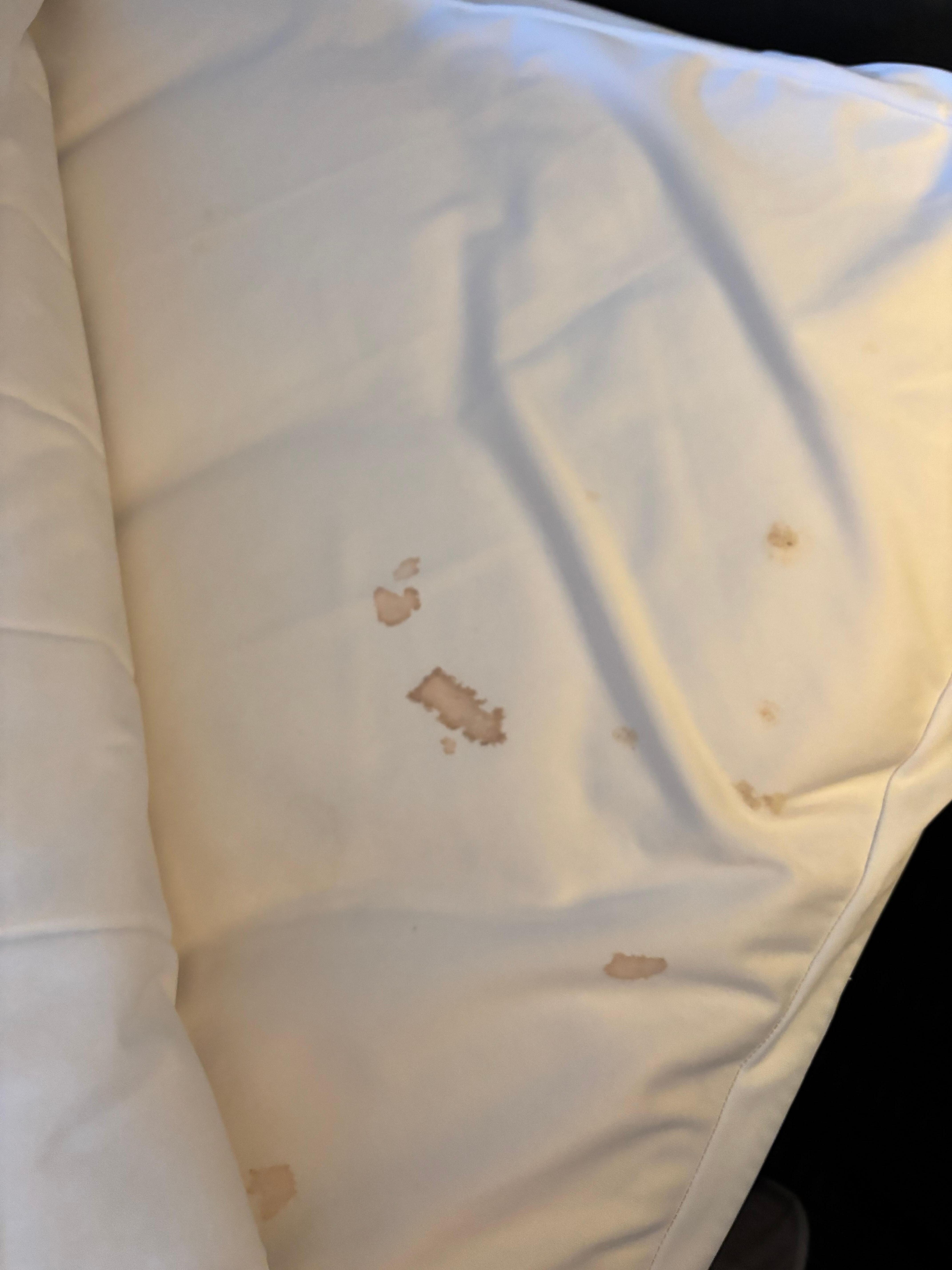 Checking for bedbugs found the mattress pad had stains 