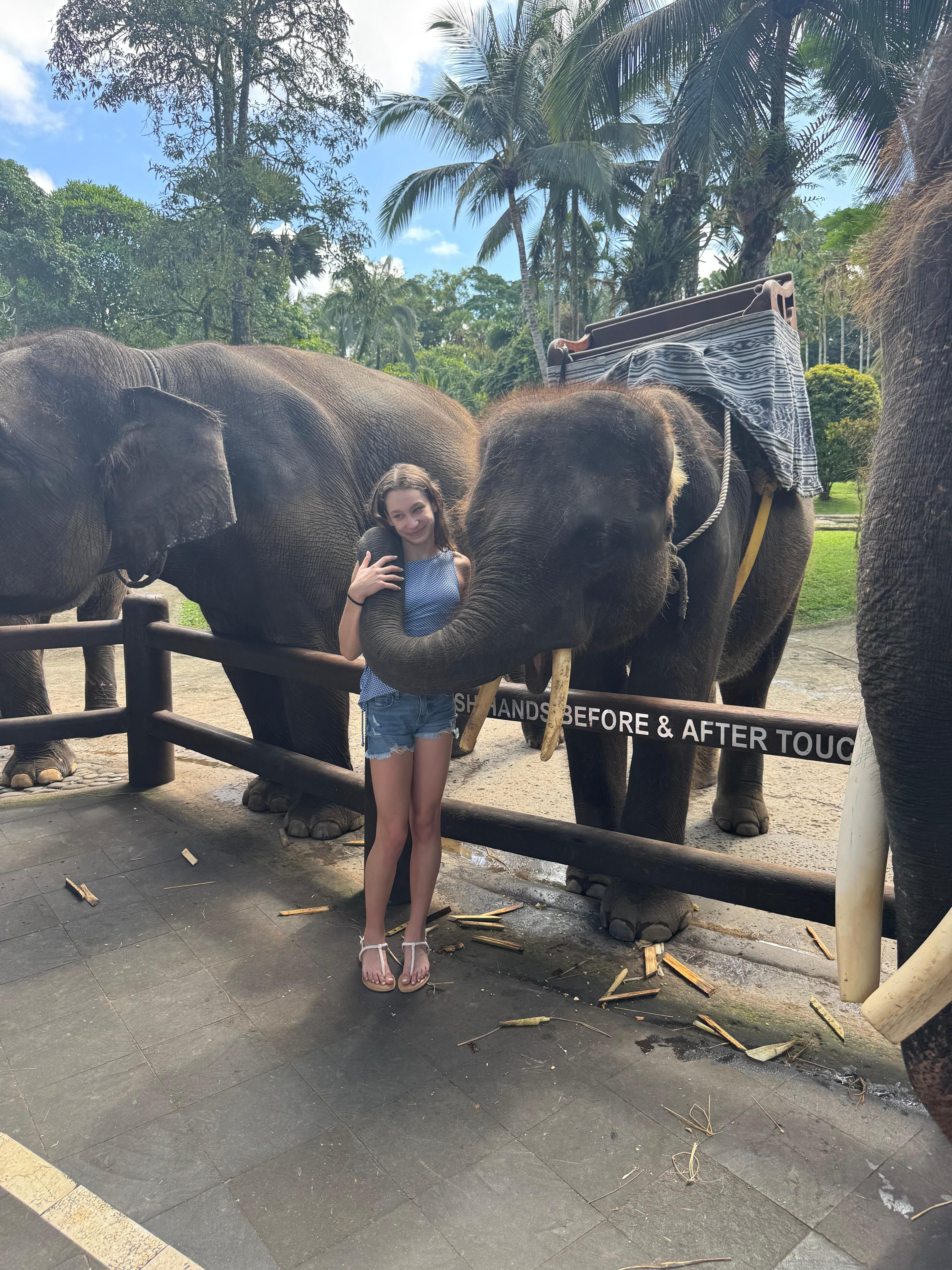 with a young elephant
