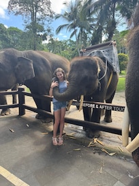 with a young elephant