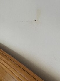 Traces sales sur le mur