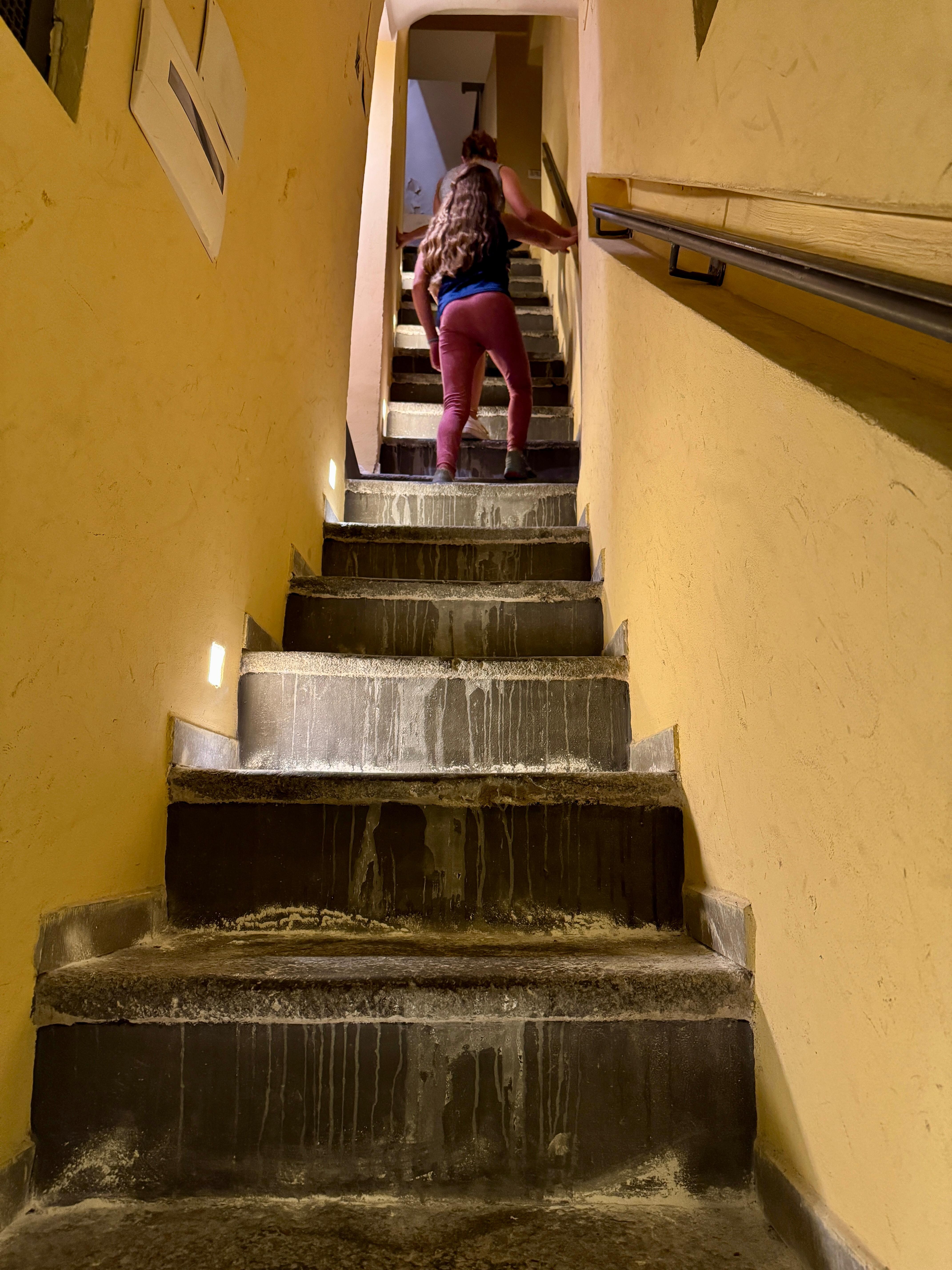 Bottom 1/2 of stairs