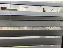 Most our windows looked like this. Dirty and gross.