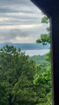 View from kitchen window