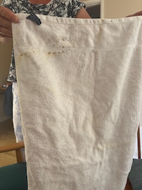 Mould on towel