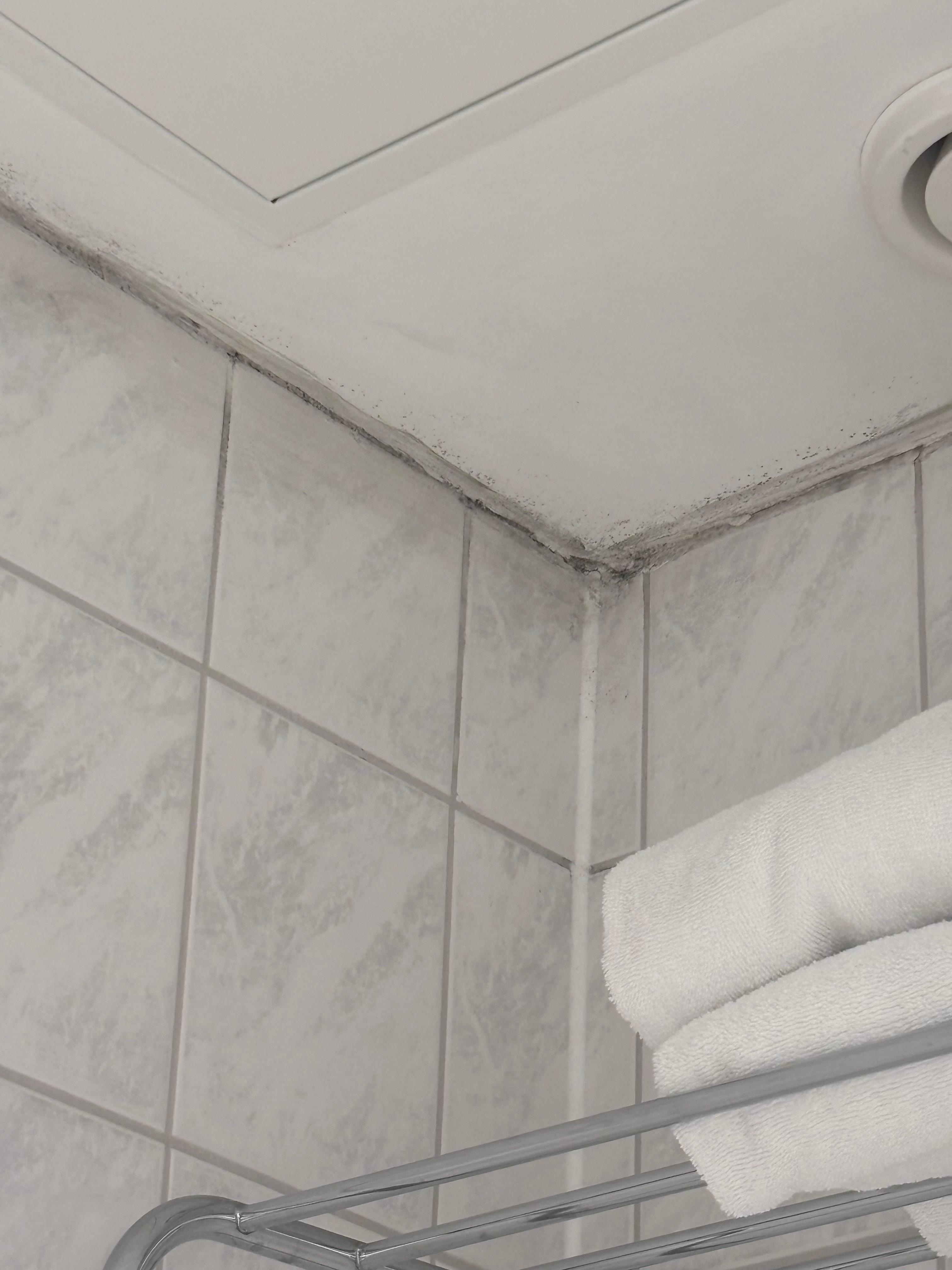 Damp and ceiling cracking 