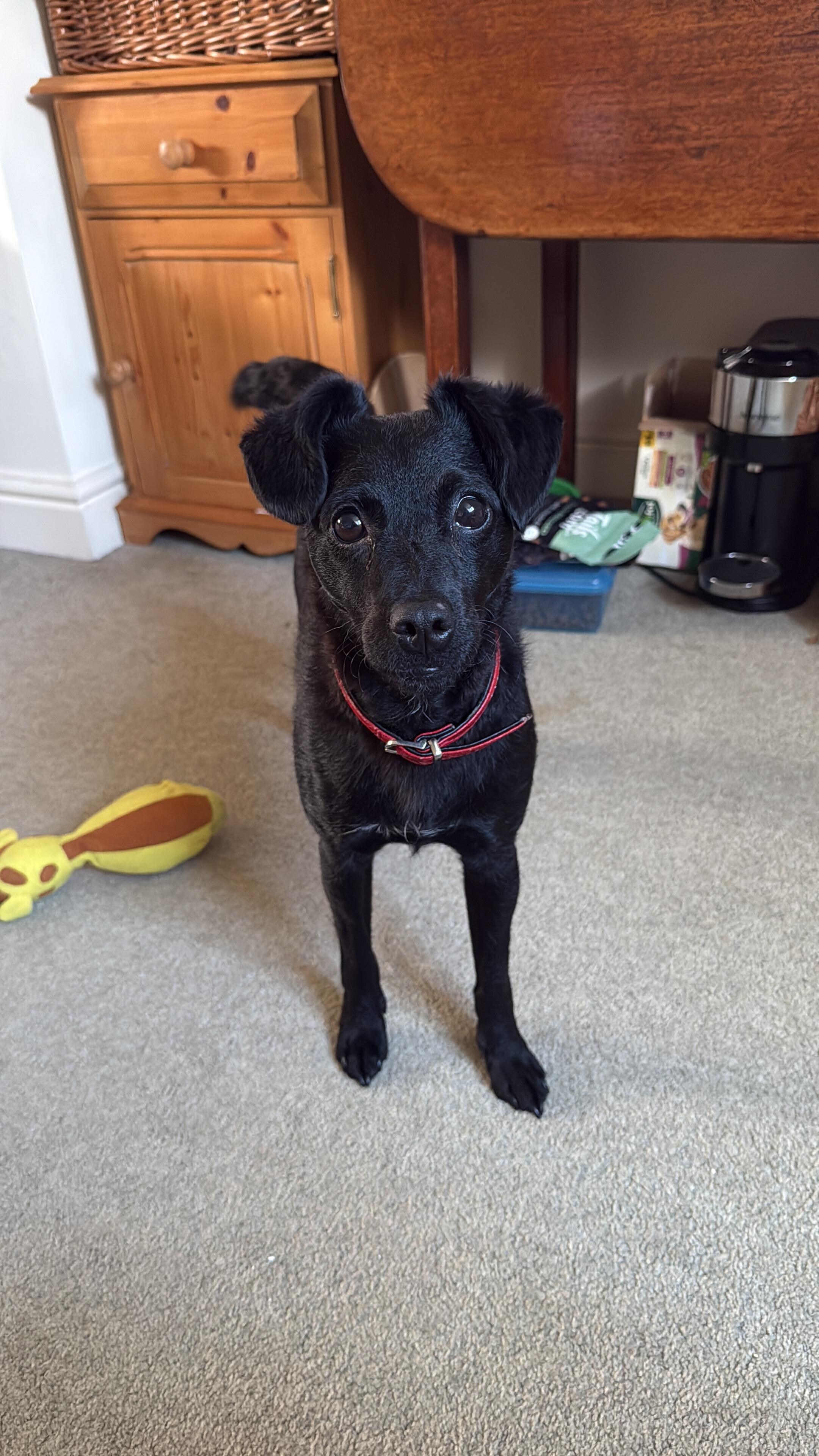 Thank you for my breakfast love isla